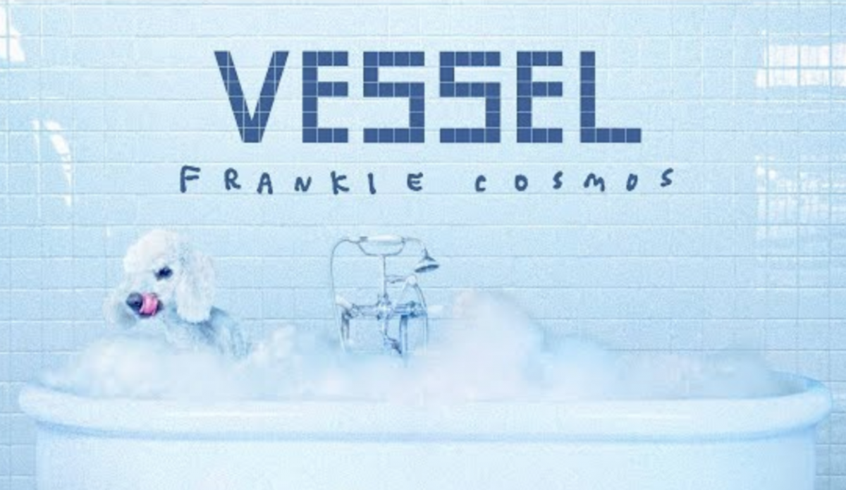 Album Review: Vessel by Frankie Cosmos